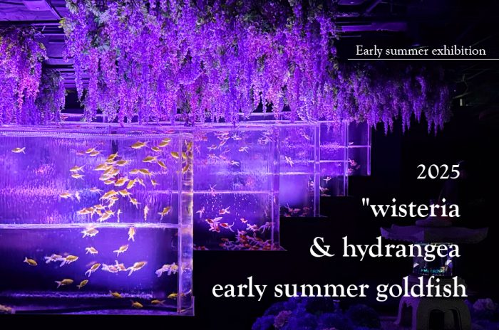 Ginza Mitsukoshi Annex Art Aquarium Museum GINZA Early summer exhibition